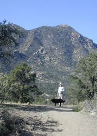 Ed walking his dog near Granite Mountain